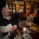 A table avec Dédé, le chien (?) de Dorine Hollier, l'auteure de « Le Singulier Monsieur Tout-le-Monde ».

#chien #lisez #editionsfdeville @hollier_dorine