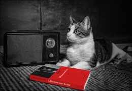Un couple, un chat et des ados dans un huis clos poignant…