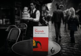 Actualitté: Ma folie ordinaire